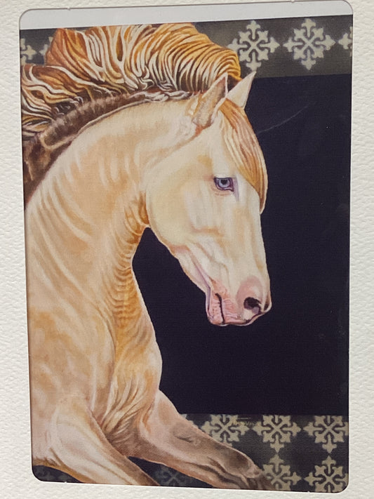 Juego de 2 cartas 'E'