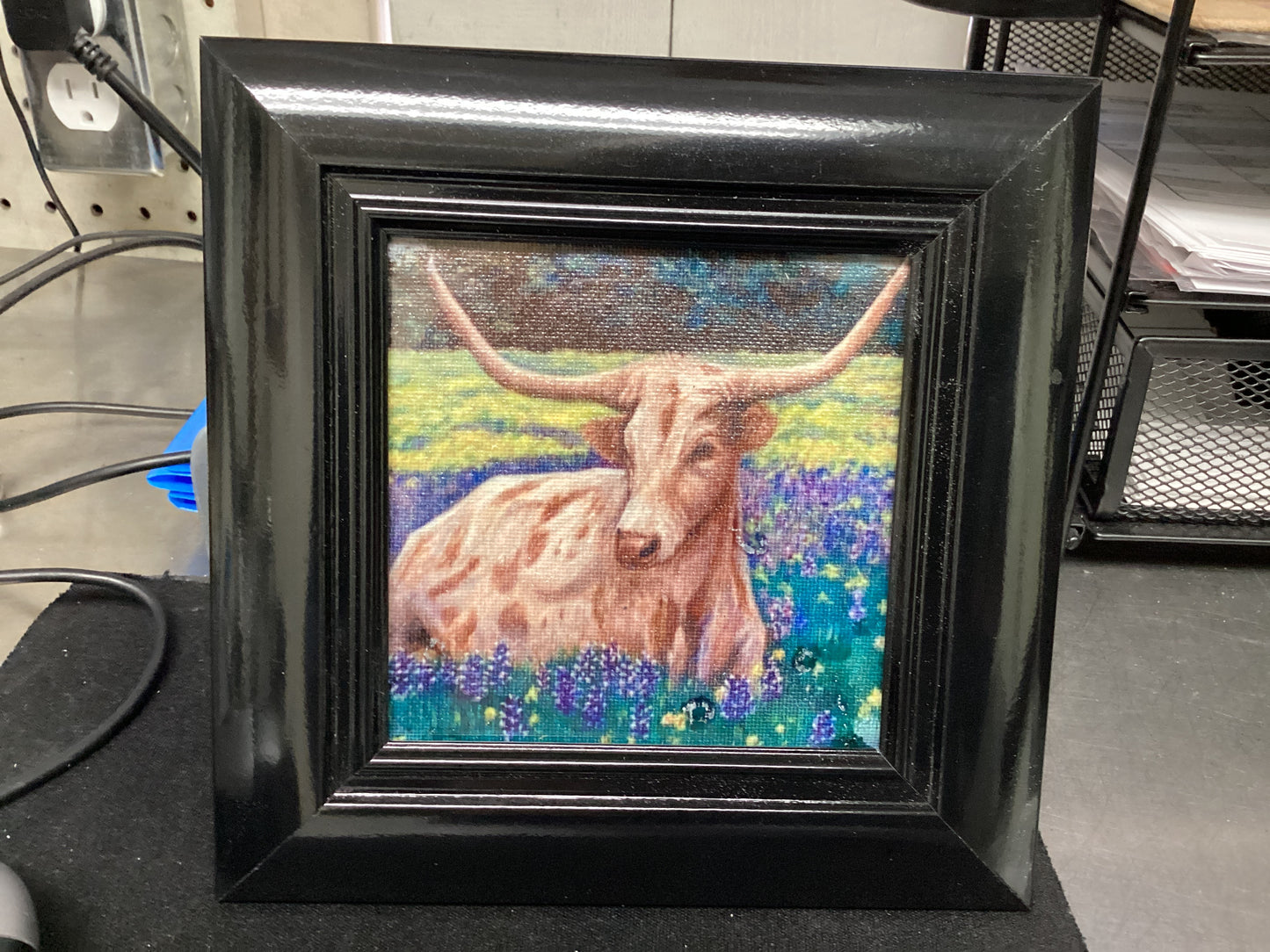 Texas Longhorn in field if Bluebonnets framed canvas print