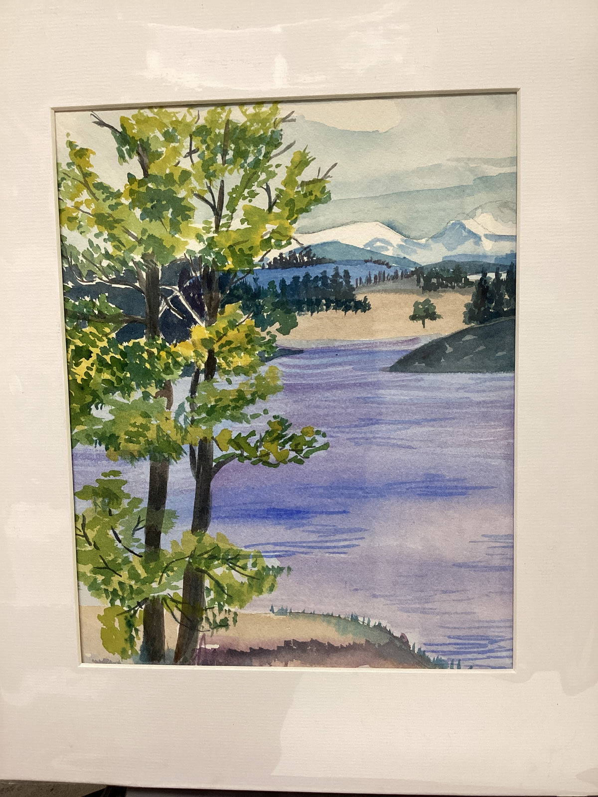 Yellowstone View