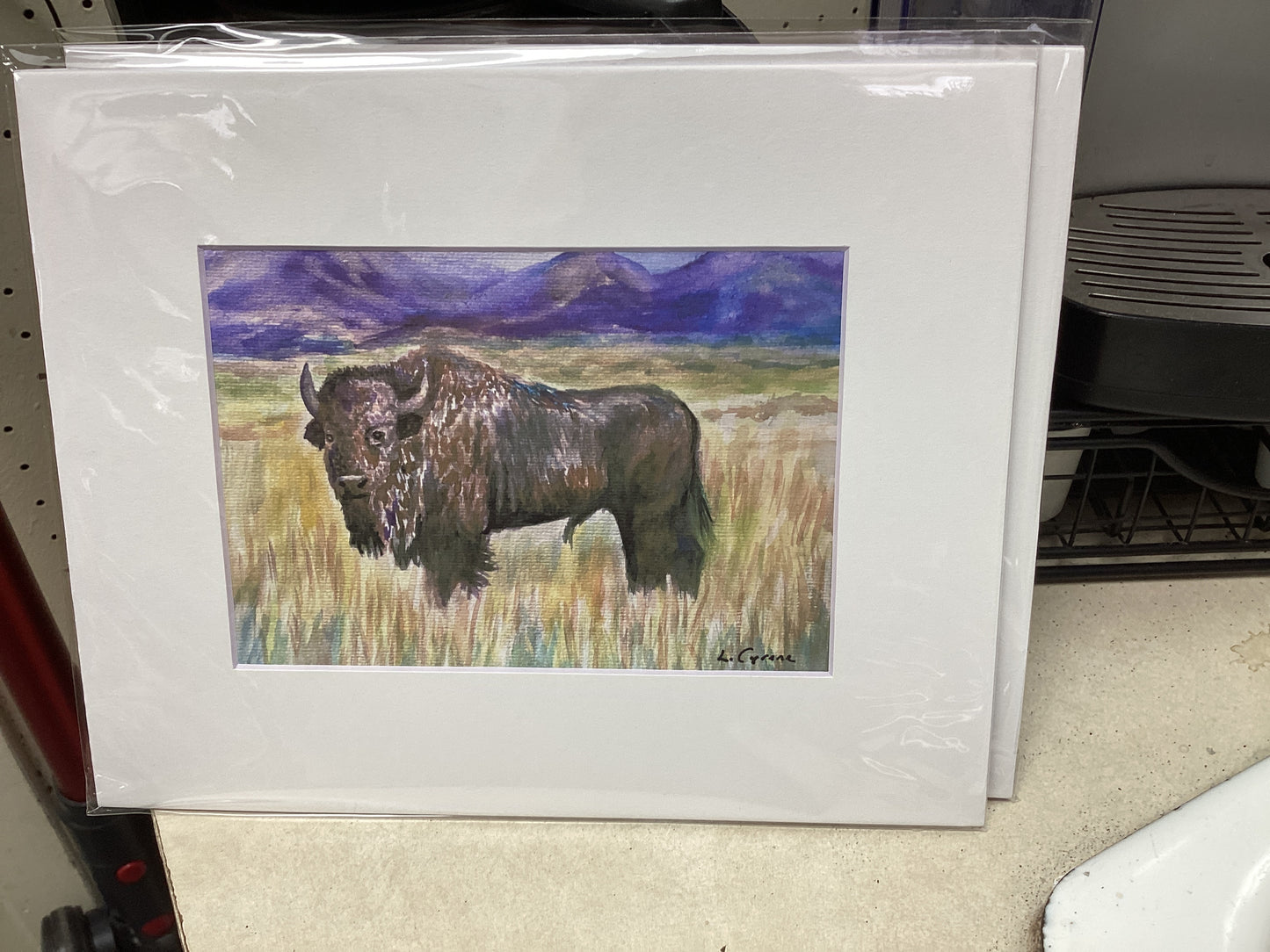 Yellowstone Bison