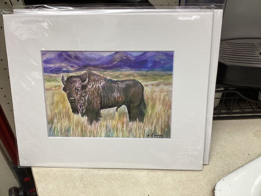 Yellowstone Bison