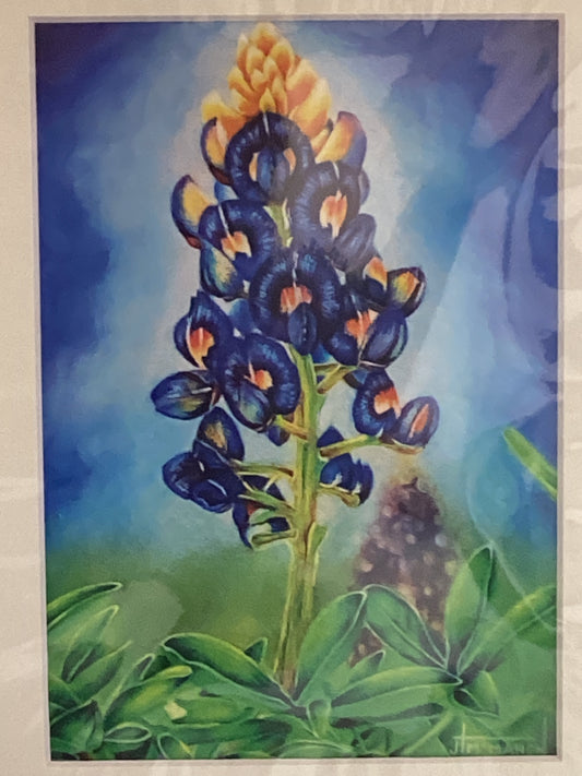 Azul Belleza 5x7 enmarcado