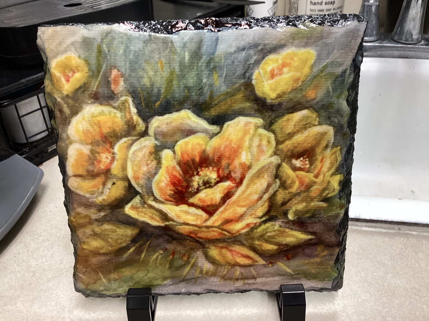 Cactus Blossoms Slate 5/21