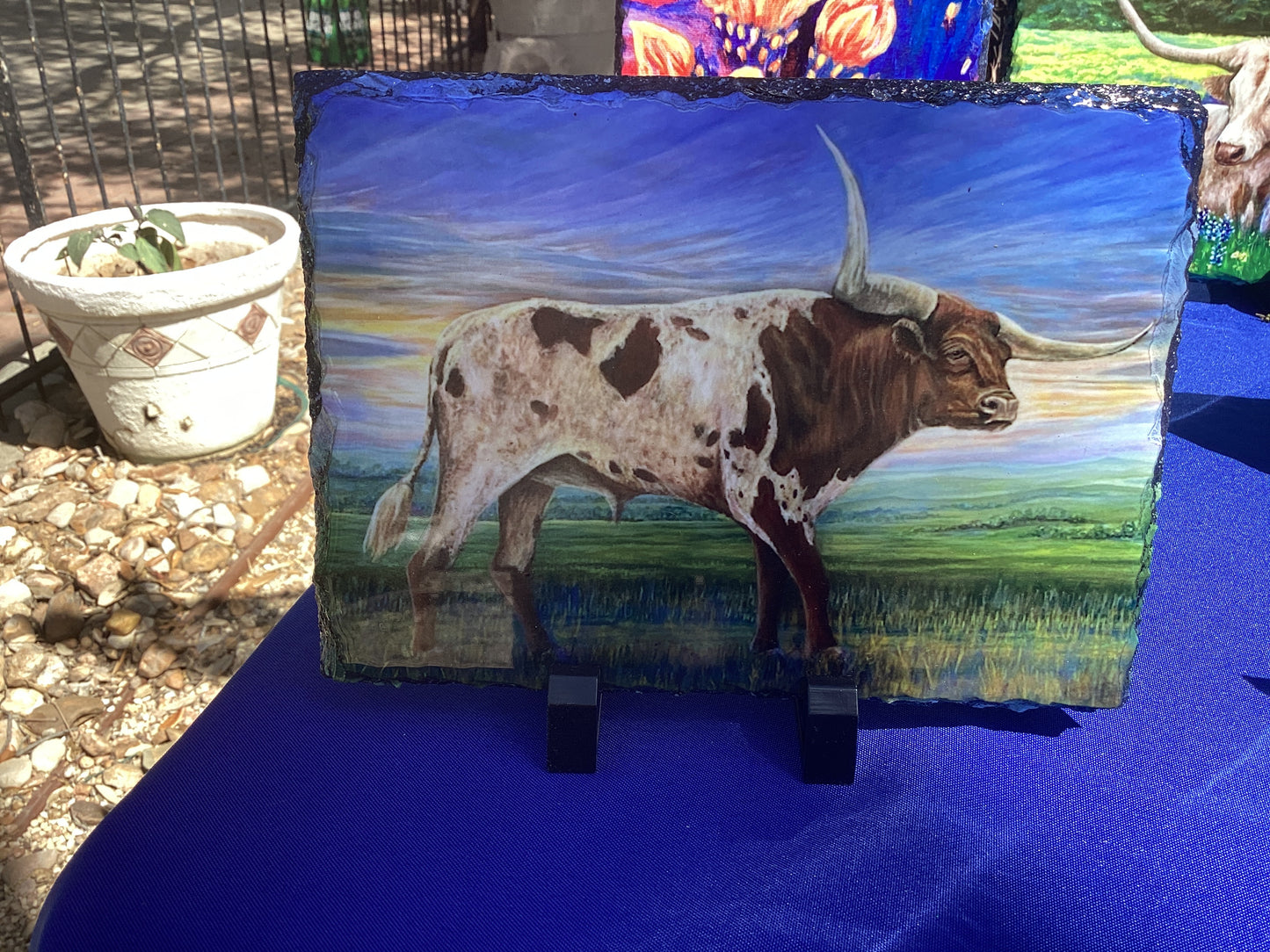 Texas Longhorn Slate M15