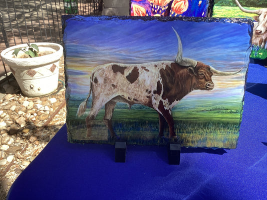 Texas Longhorn Slate M15