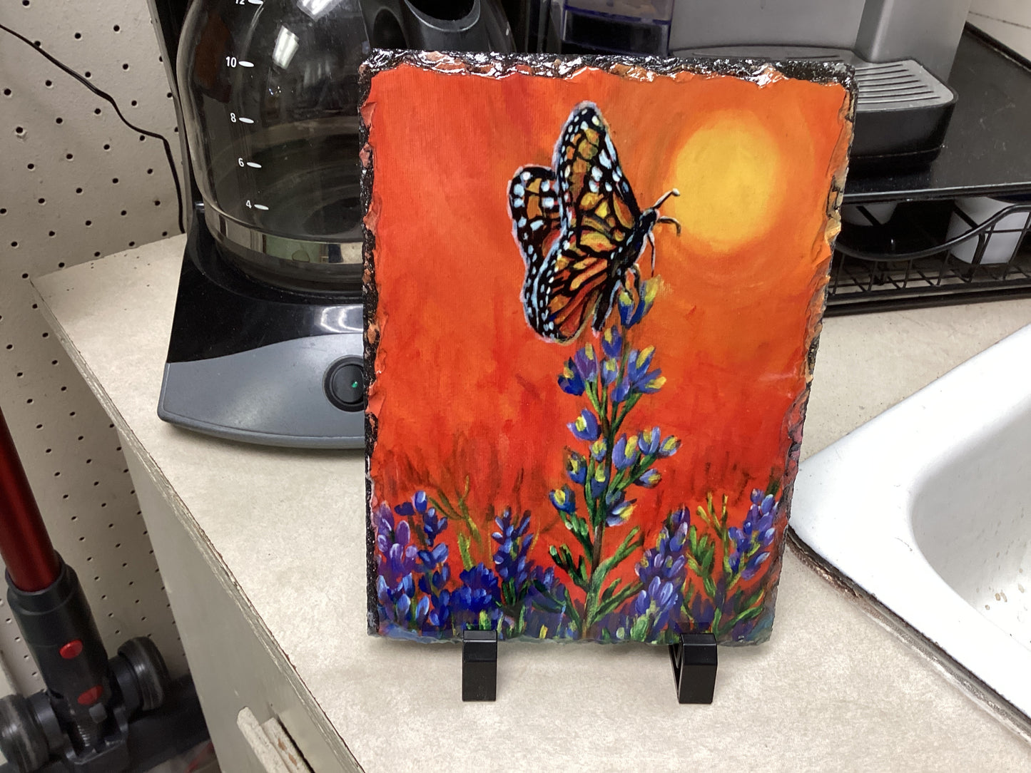 Monarch Butterfly and Blue bonnets s late