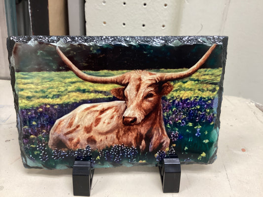 Bluebonnet Longhorn Slate