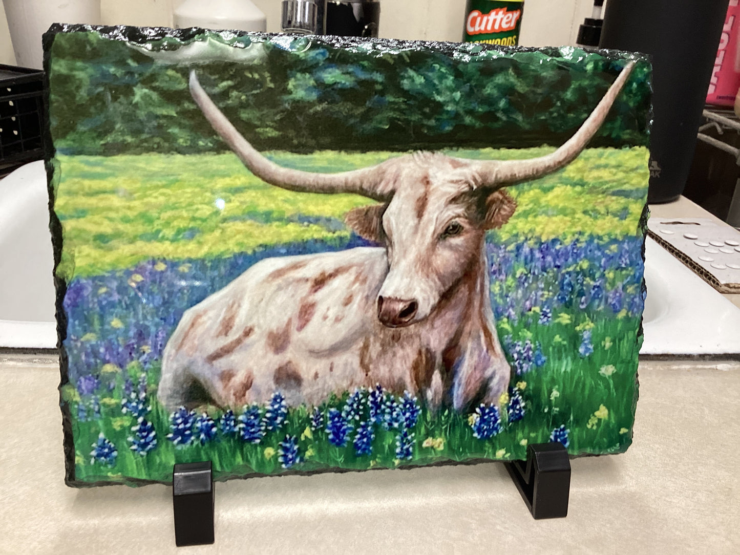 Bluebonnet Longhorn Slate 5/15