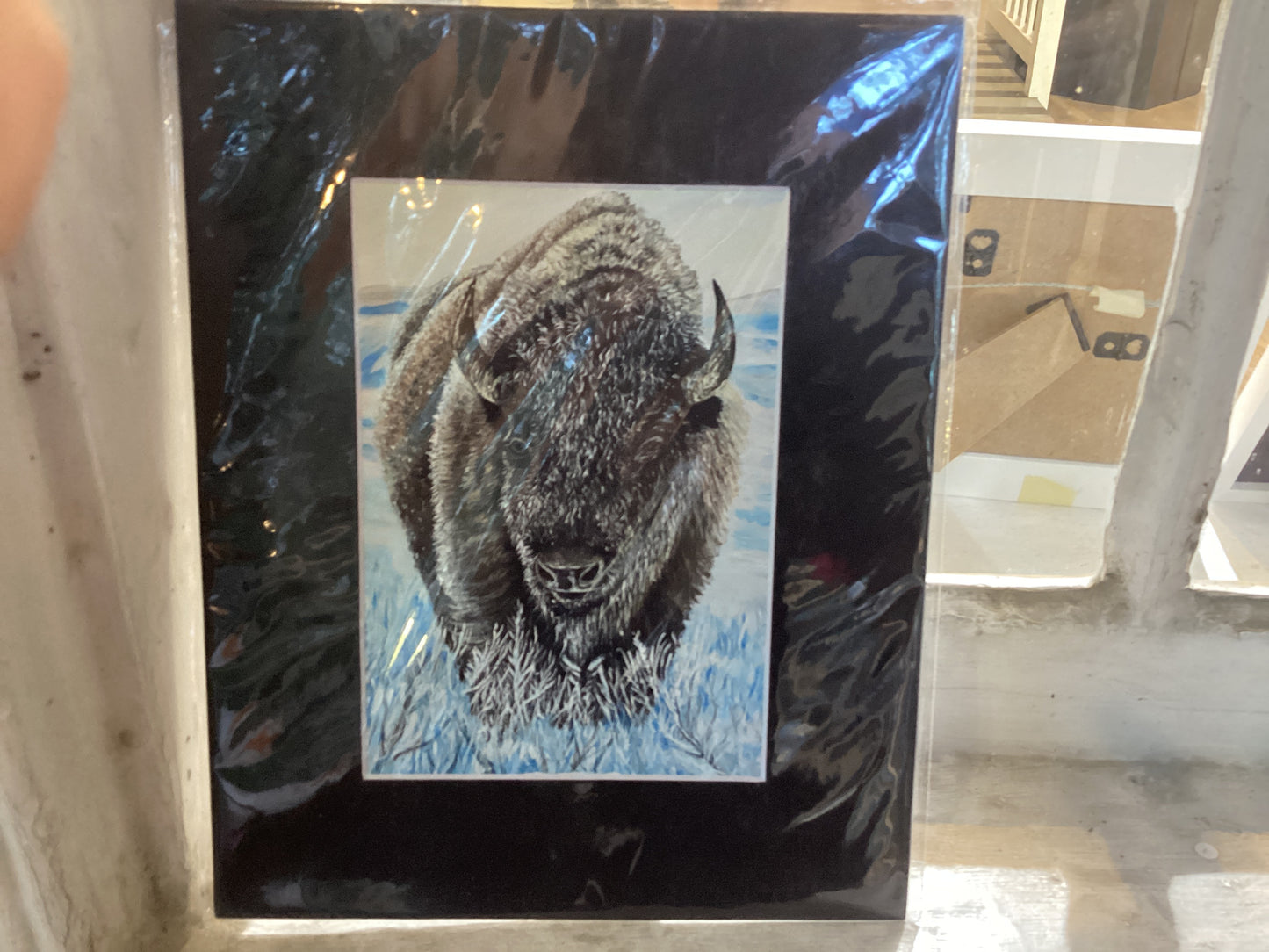 Bison in Snow matted print