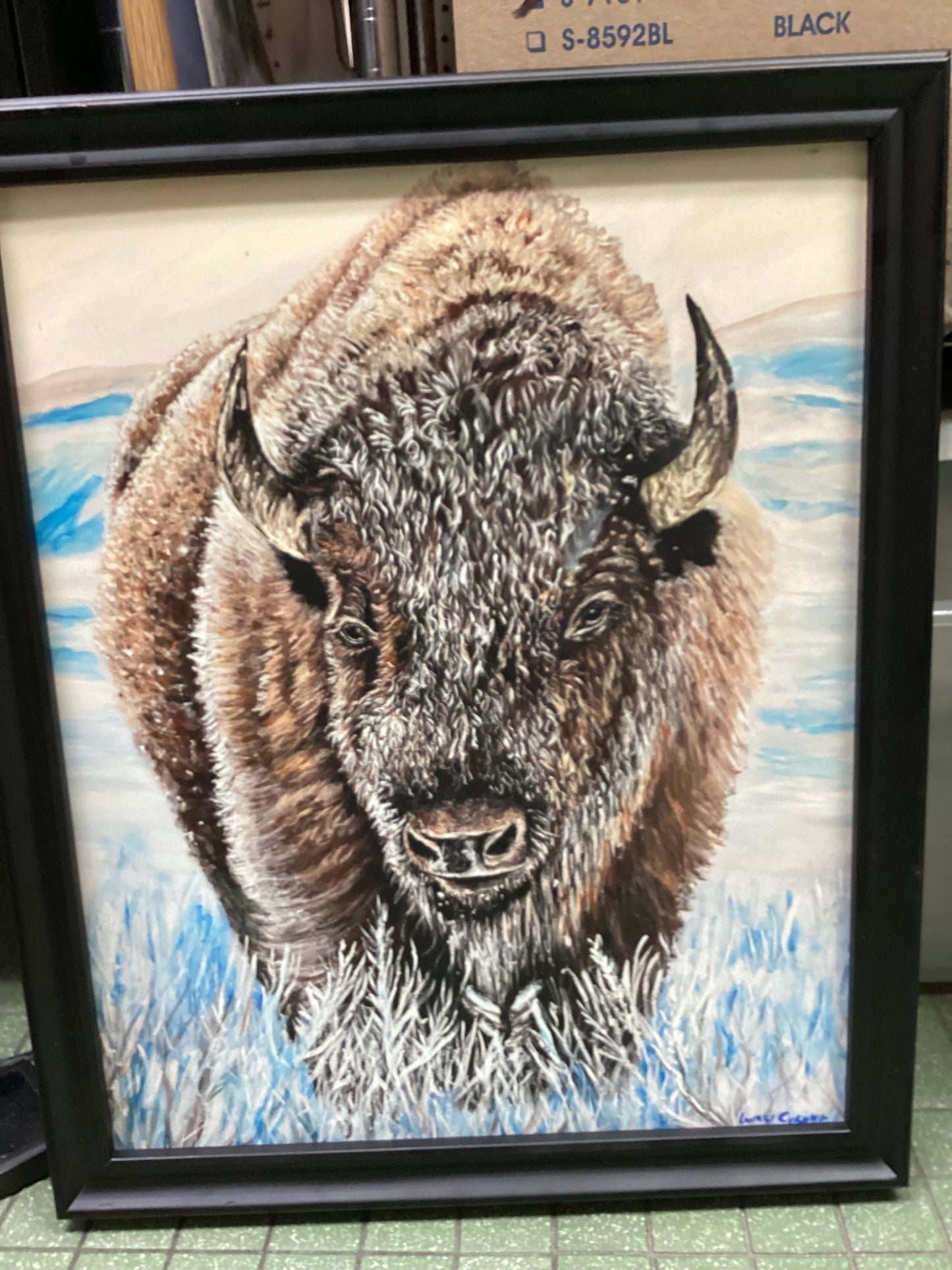 Buffalo in Snow Canvas Reproduction Print Framed