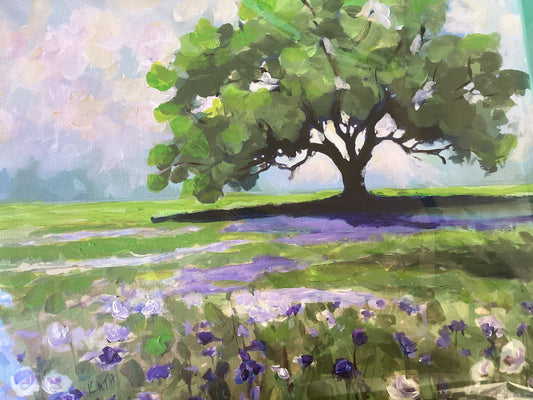 Spring in Texas