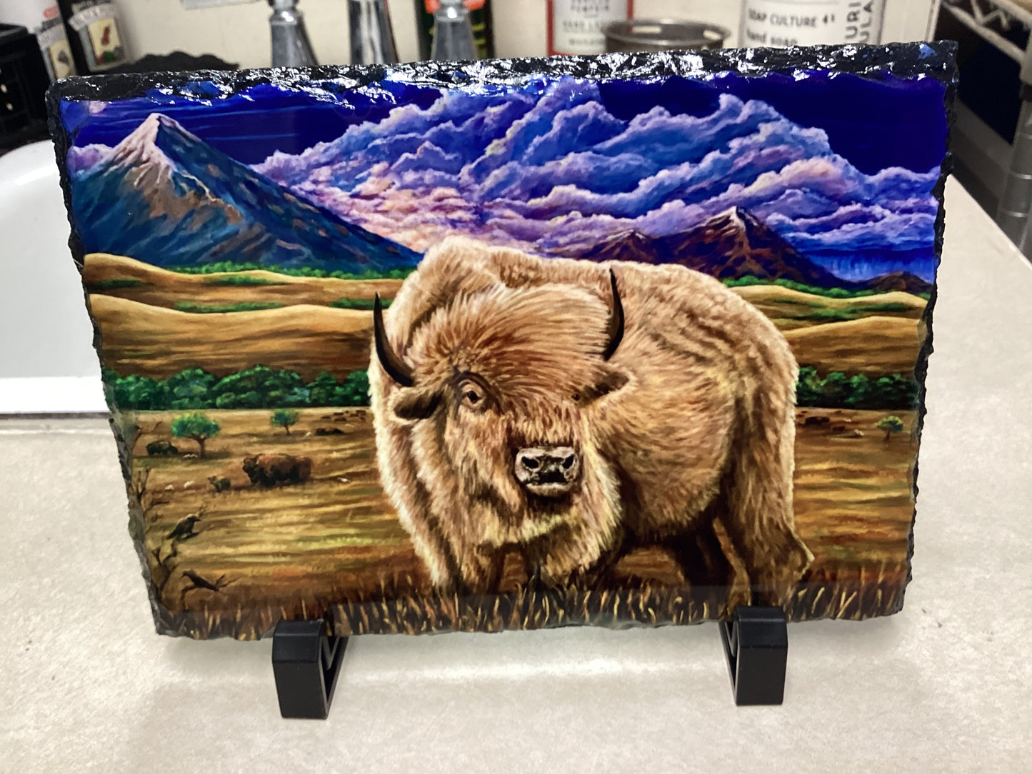 Majestic Bison Slate 6/16