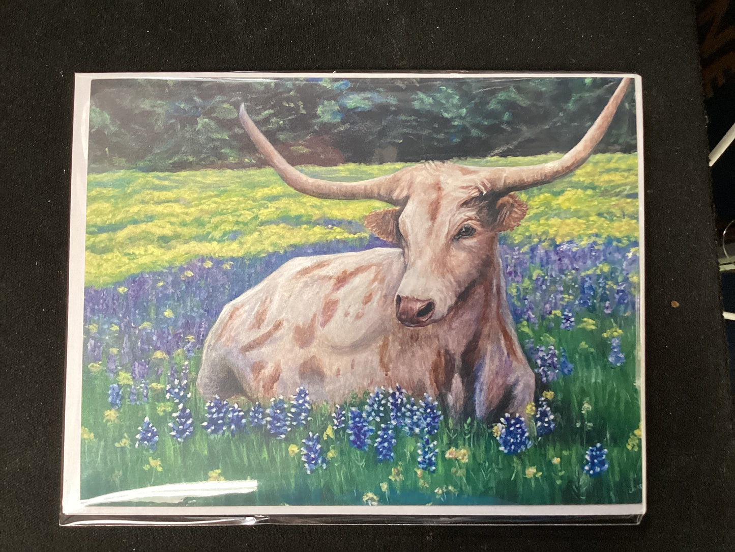 Texas Long horn in field of blue bonnets card set