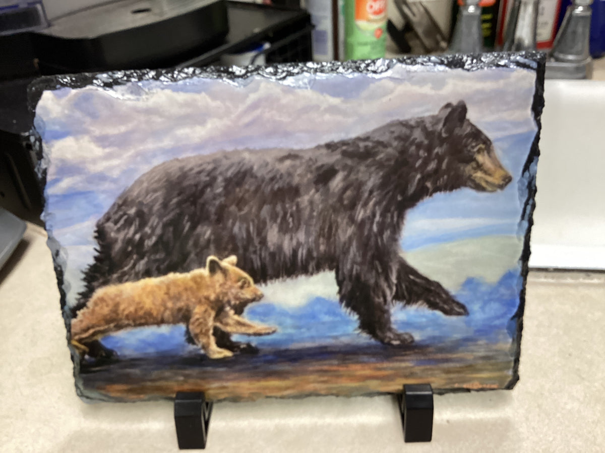 Two Bears Slate  9/16