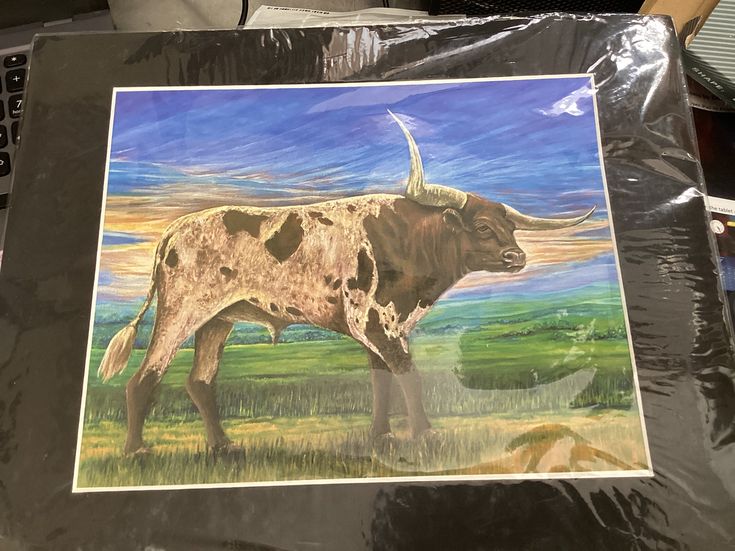 Longhorn matted print 6/28