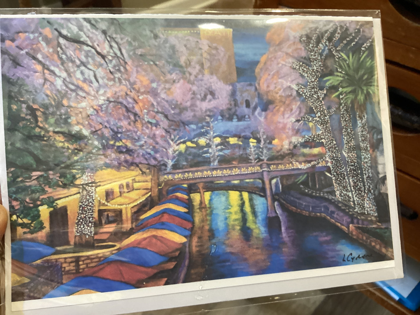Casa Rio Card