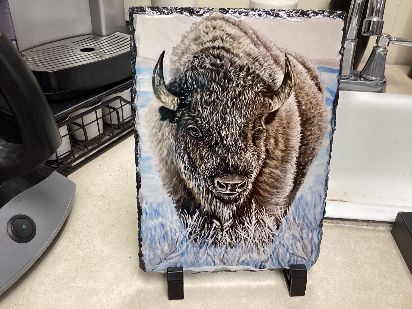 Bison in Snow