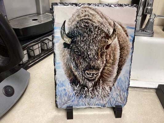 Bison in Snow