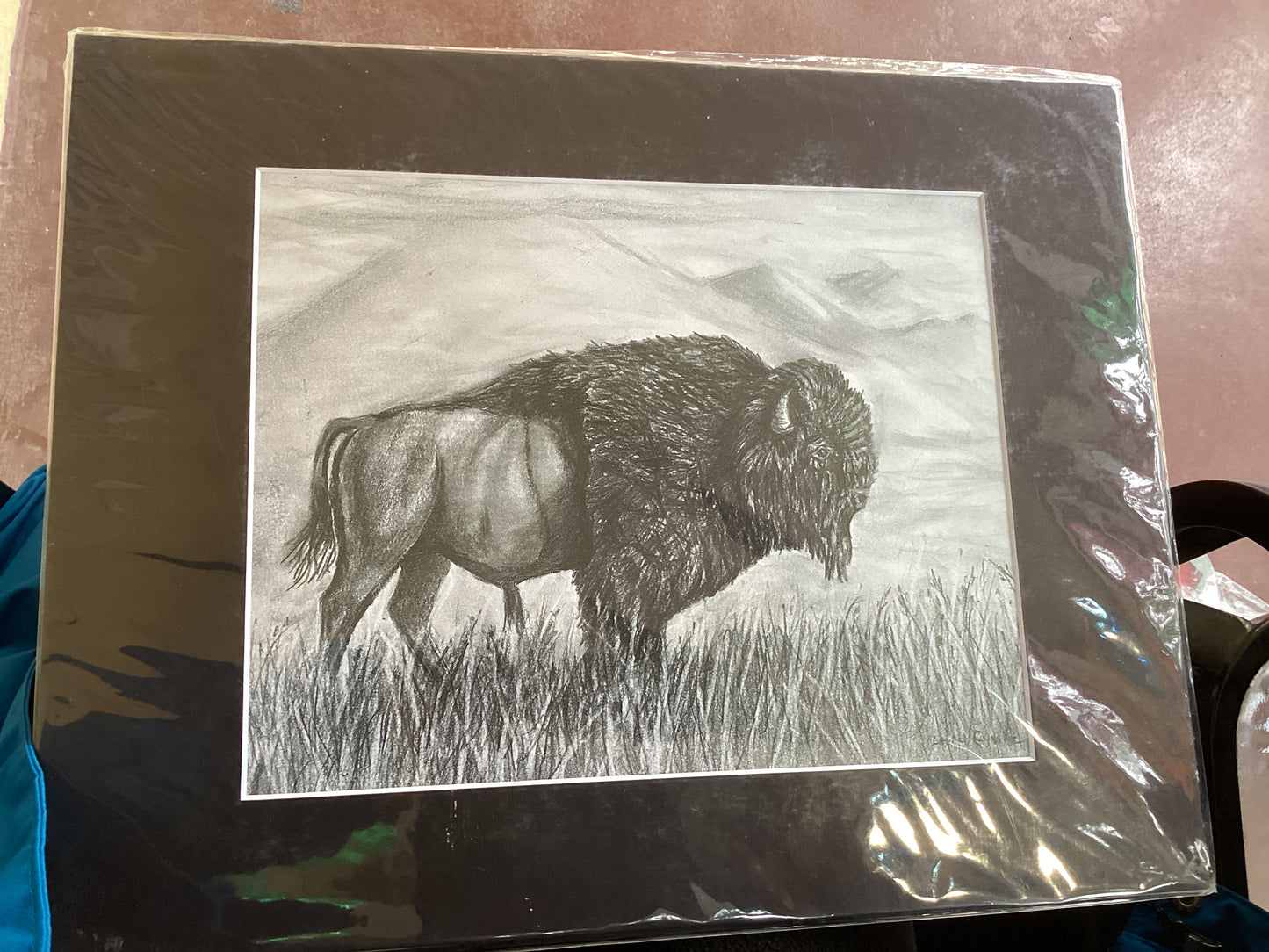 Bison in Yellowstone Matted Print A19