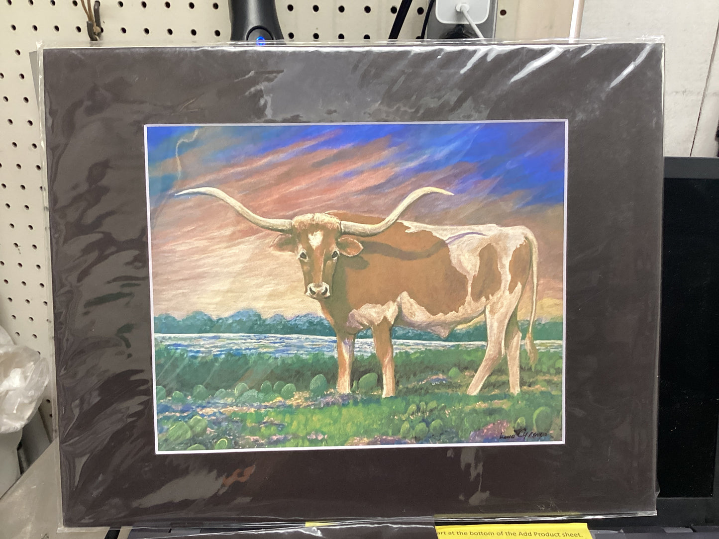 O Longhorn matted print 6/10