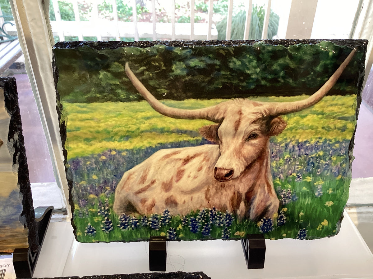 Bluebonnet Longhorn Slate 10/18