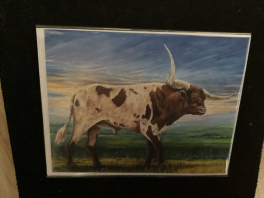 Texas Longhorn Card Set