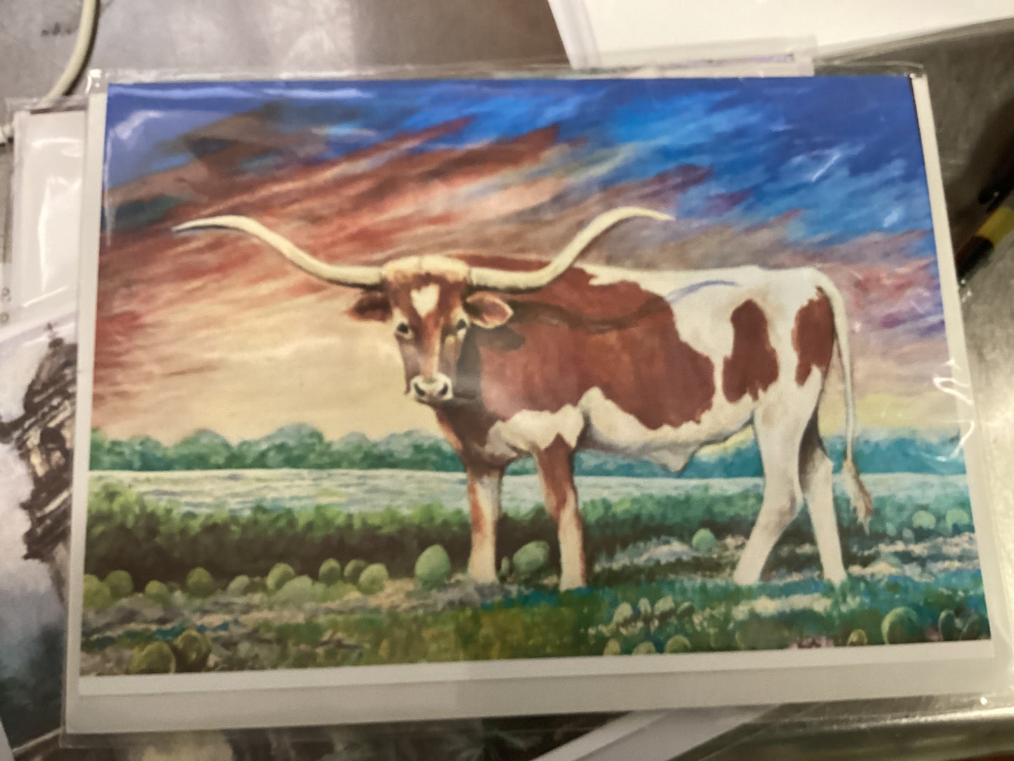 O Longhorn Card A29