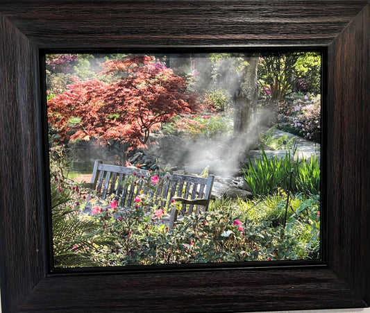 Misty Arboretum Bench