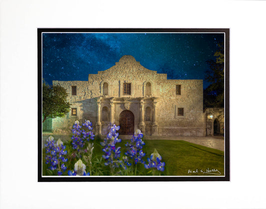 Alamo and Bluebonnets 11x14
