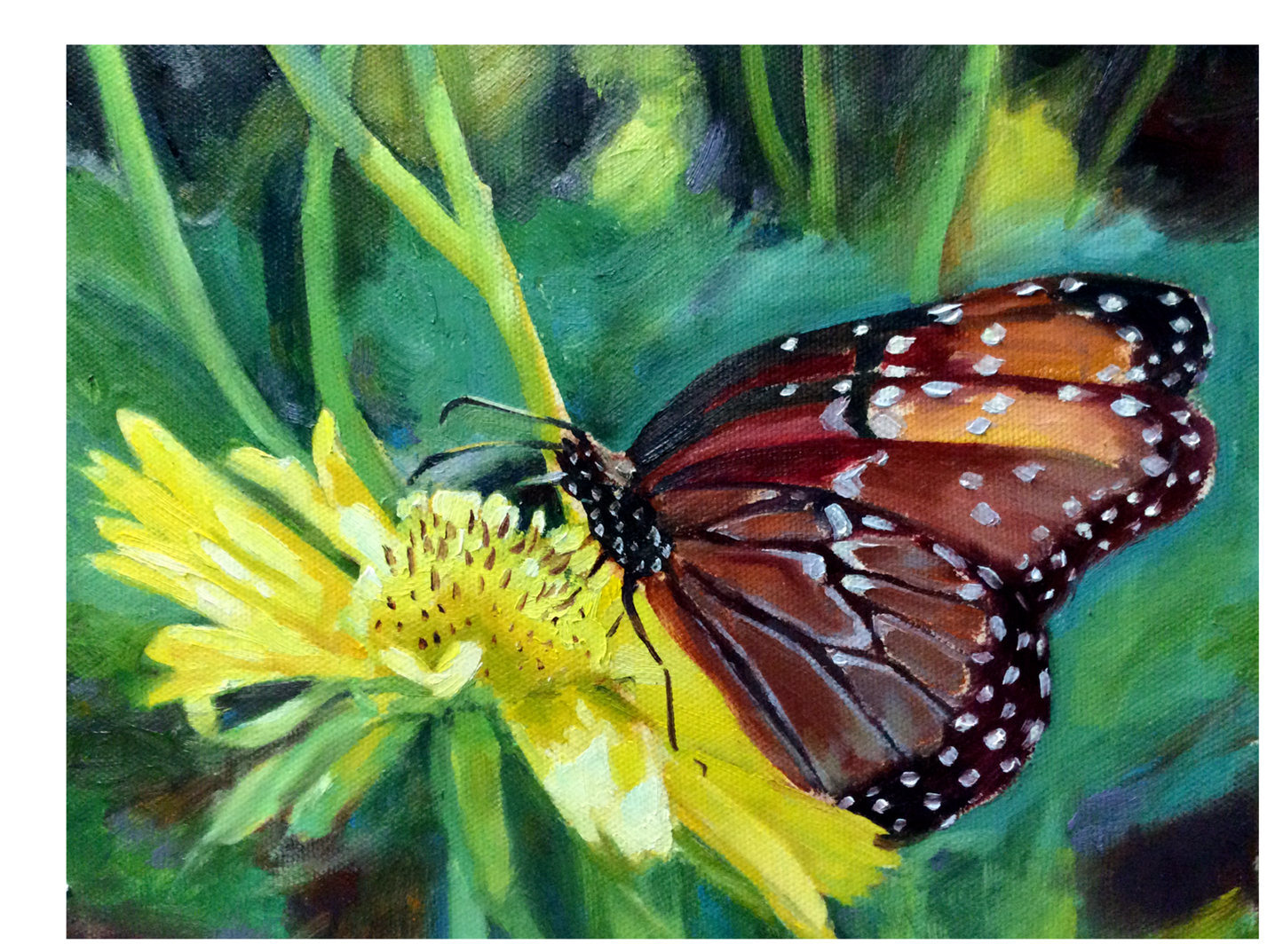 Monarch Butterfly Greeting Cards