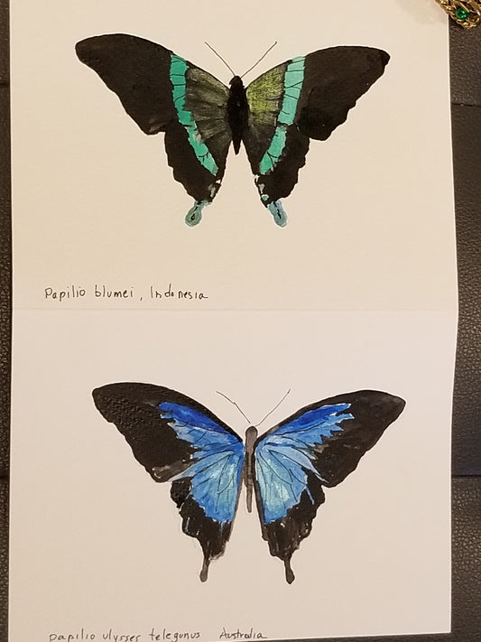 Double Butterfly
